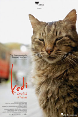 KEDI - LA CITTA' DEI GATTI                                                                          