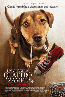 UN VIAGGIO A QUATTRO ZAMPE (A DOG'S WAY HOME)                                                       