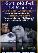 Expo Felina di Genzano