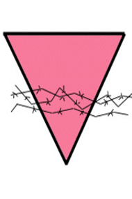 Triangolo rosa