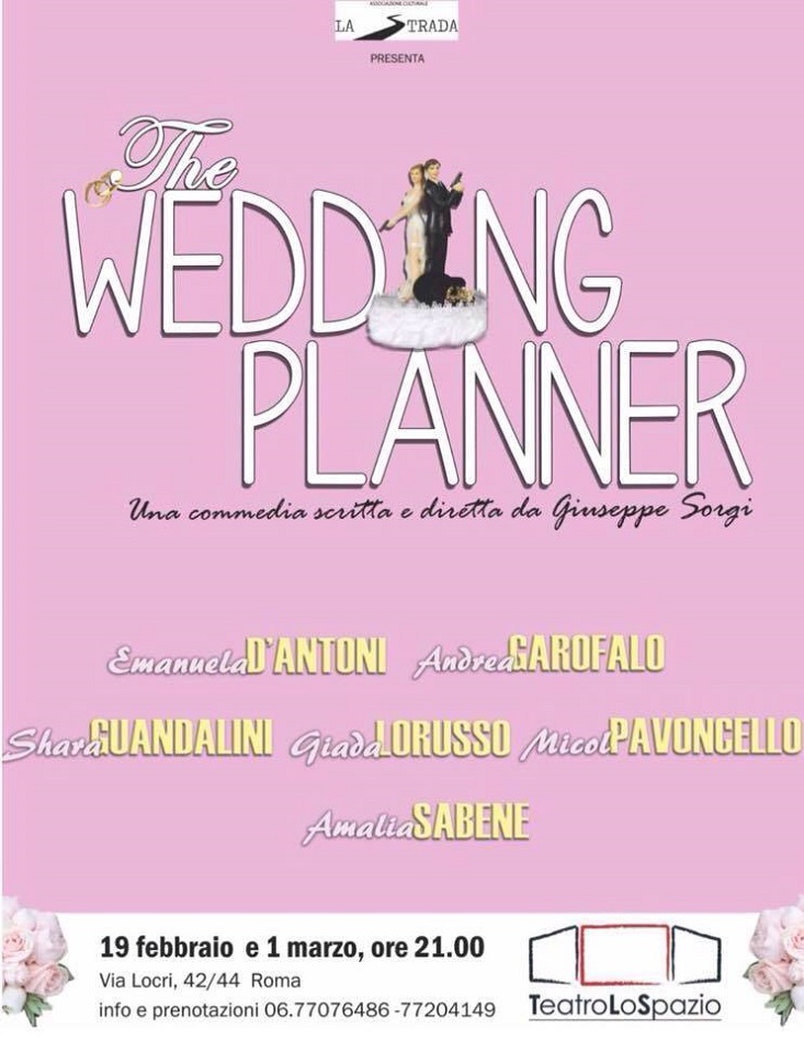 the wedding planner 01/03